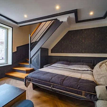 Duplex Jeanne D'arc Billard Baby En Option Escape Game Insolites דירה נאנסי