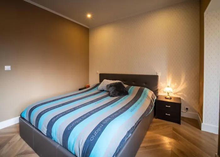 Duplex Jeanne D'arc Billard Baby En Option Escape Game Insolites Apartman *